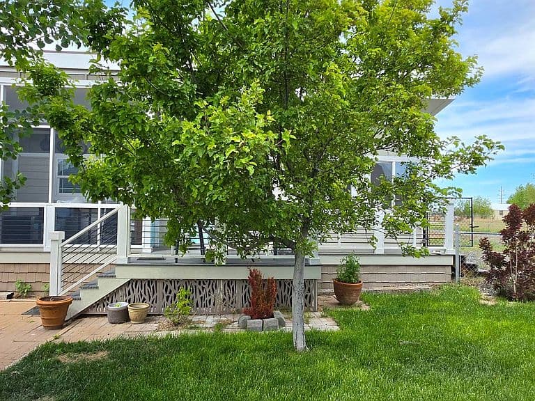 733 2nd Ave photo 3