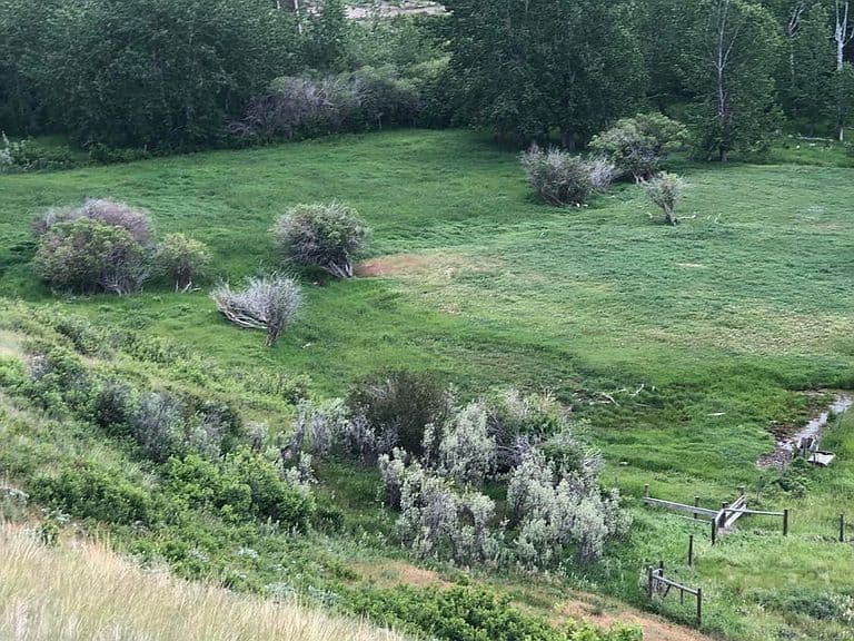 470 Duck Lake Rd photo 4