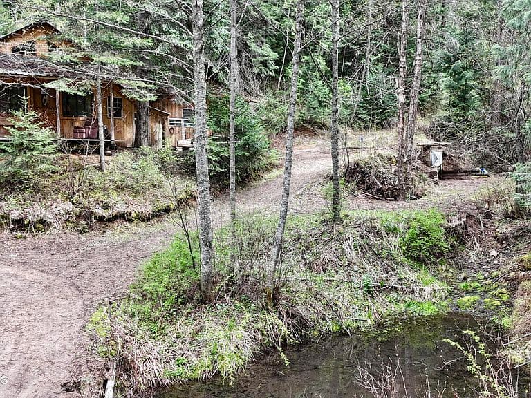 1546 Pup Paw Trl photo 1