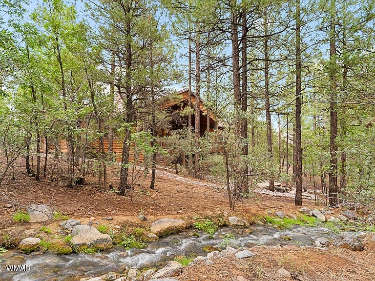 3871 W Sugar Pine Way photo 5