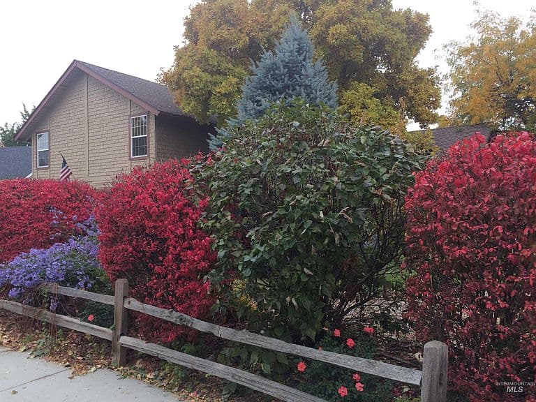 363 E Ranch Dr photo 1