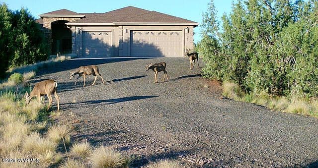 7051 W Dillon Wash Rd photo 1