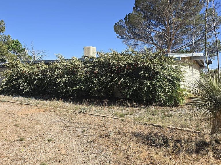 1110 E Justin St photo 2