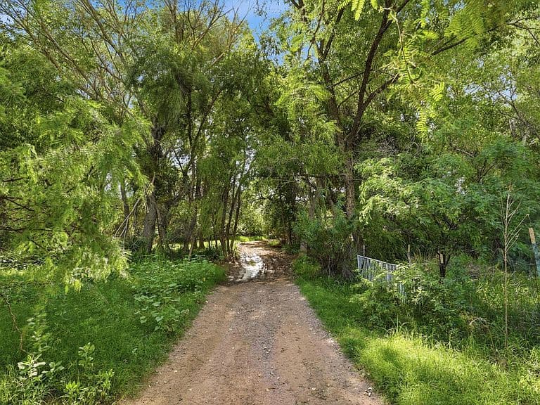 342 E Windy Way photo 5
