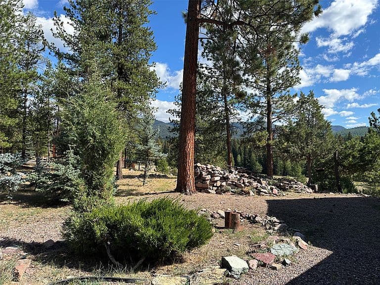 975 Whitetail Dr photo 4