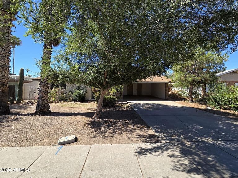 2217 W DAHLIA Drive photo 1