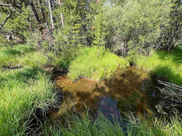 3858 Highway 28 photo 5