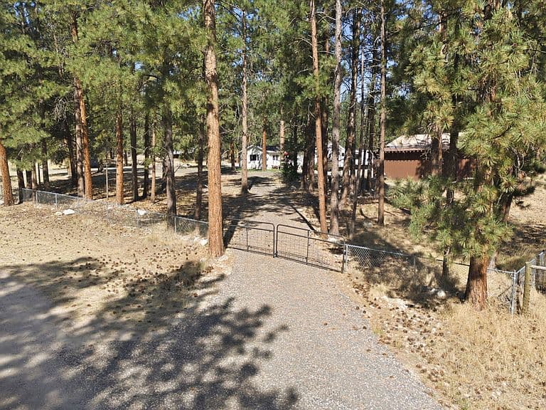 516 Pebble Ln photo 2