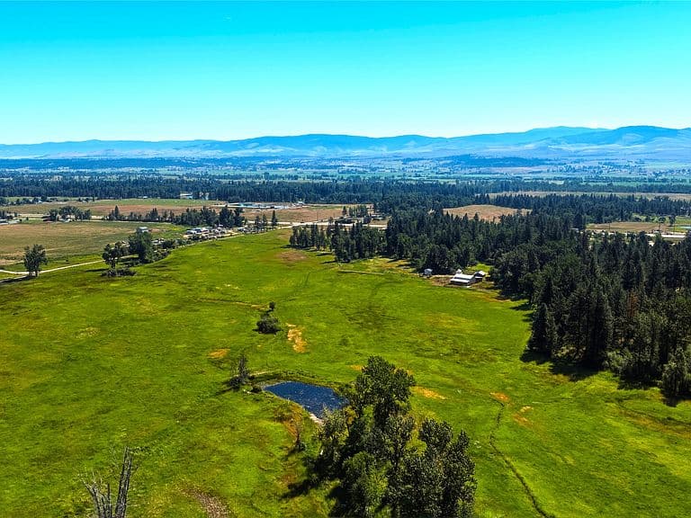 2291 Meridian Rd photo 5