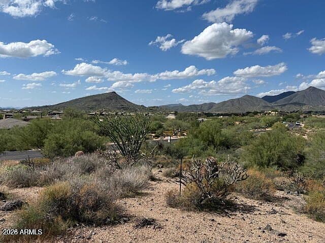 39221 N 104th Pl photo 5