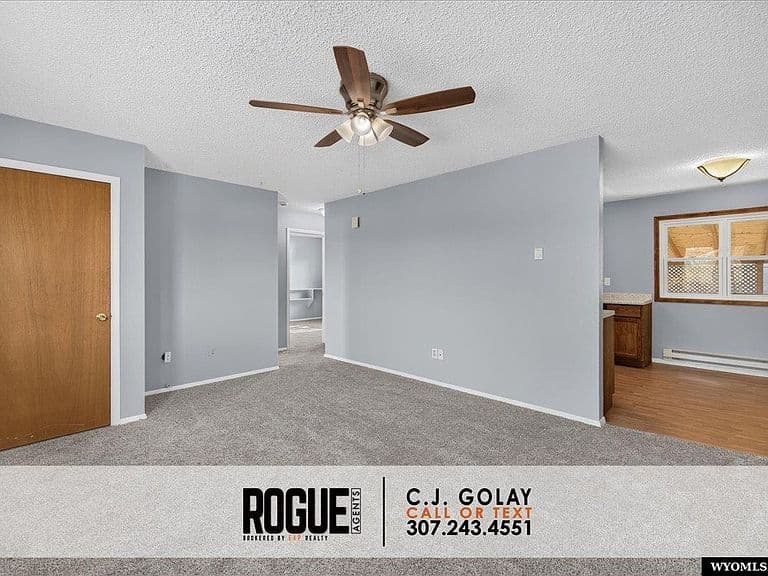 229 Fort Laramie St photo 5