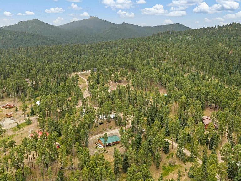 21621 High Country Loop photo 4