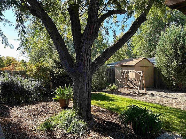 363 E Ranch Dr photo 5