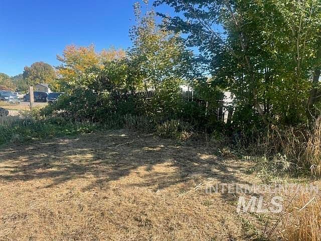 522 E 16th St photo 3