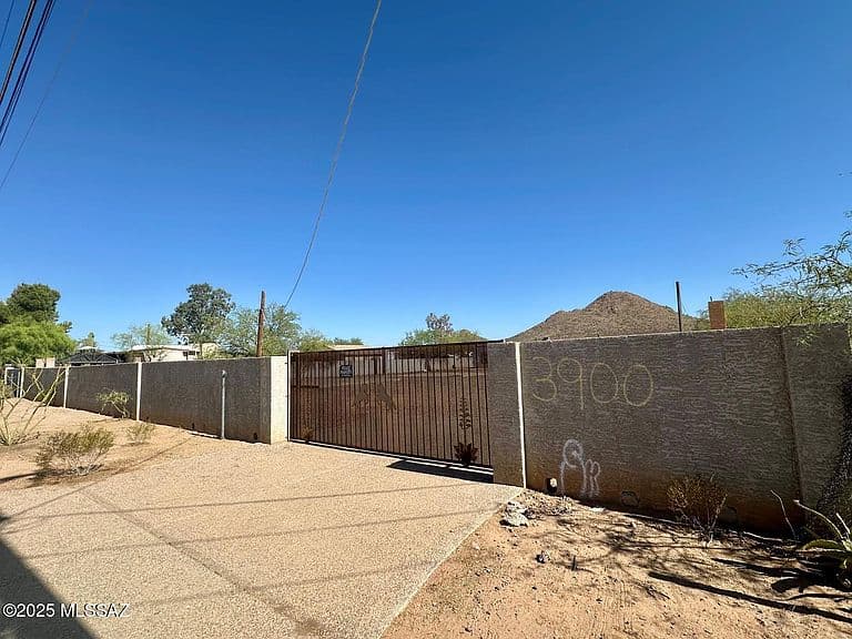 3900 W Calle Torim photo 3