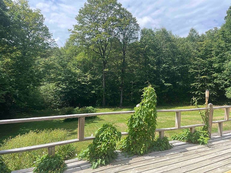 1752 East Dover Road photo 3