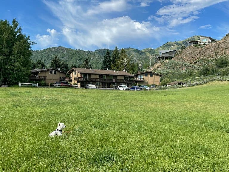 204 Sun Valley Rd #27 photo 4