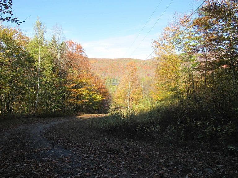 6791 US Route 5 photo 5