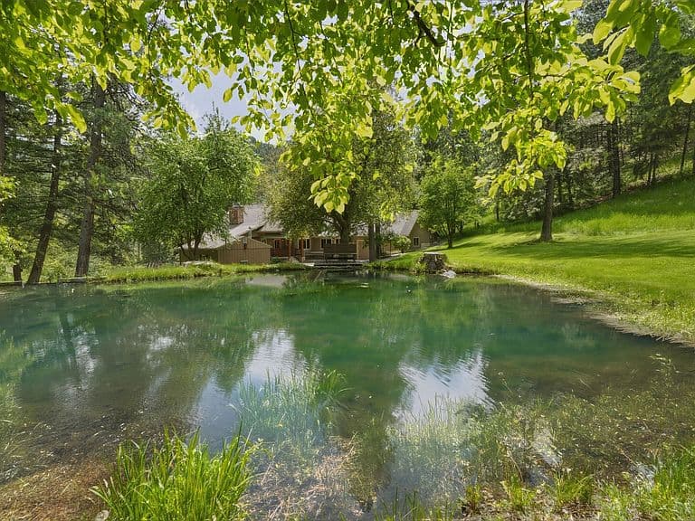 10450 Miller Creek Rd photo 5