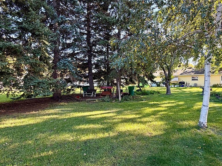 1319 Palmer Pl photo 5