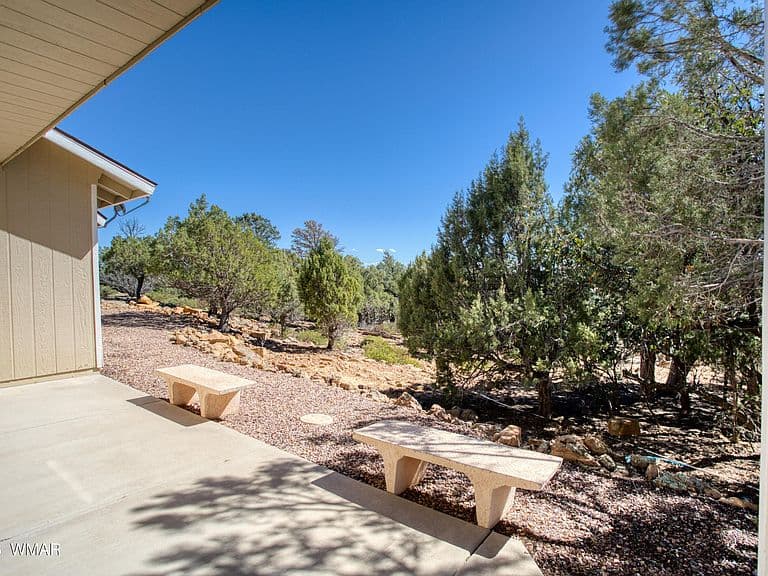 949 Geronimo Ln photo 5