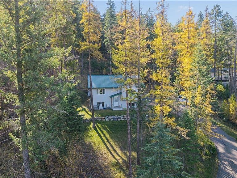 163 Pine Needle Dr photo 5
