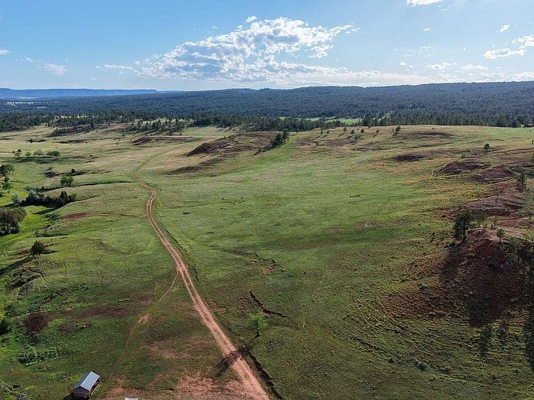 27021 Us Highway 385 photo 4