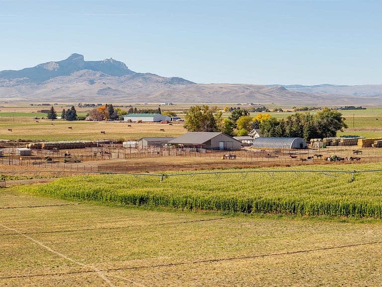 877 Road 22 photo 5