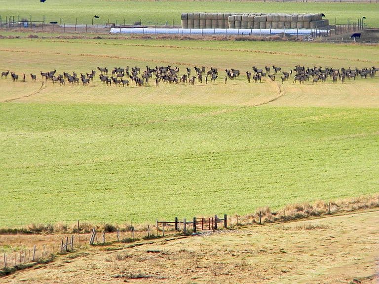 24950 Highway 93 photo 3