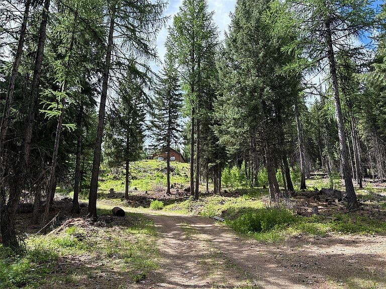 2662 Butcher Creek Rd photo 4