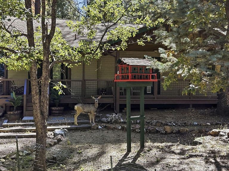 1505 E Friendly Pines Rd photo 4