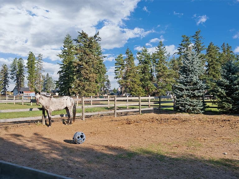 1086 Cowboy Way photo 5