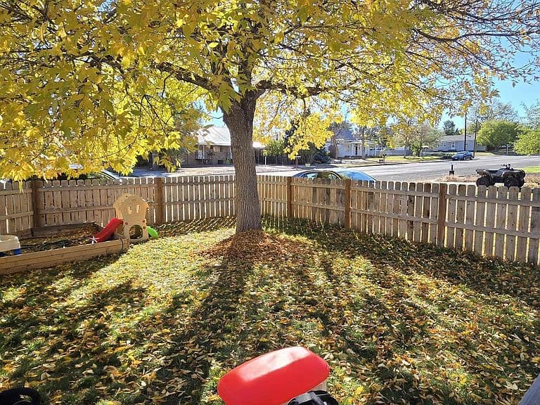 718 Amoretti St photo 3