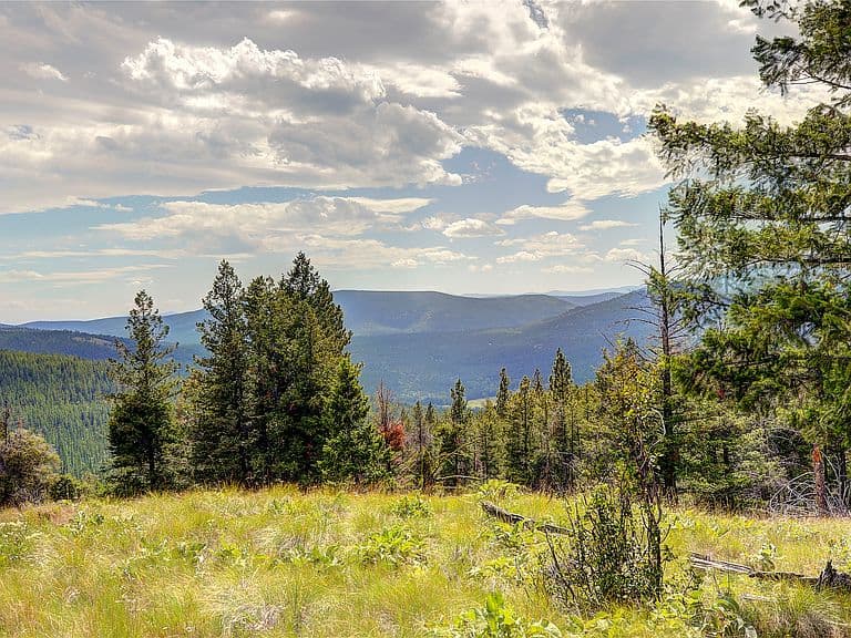 440 High Ridge Trl photo 5