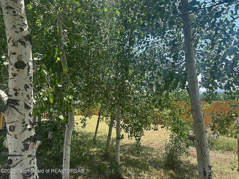 495 E Garnet Ave photo 5