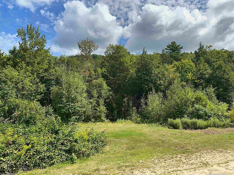 318 Clinton Road photo 5
