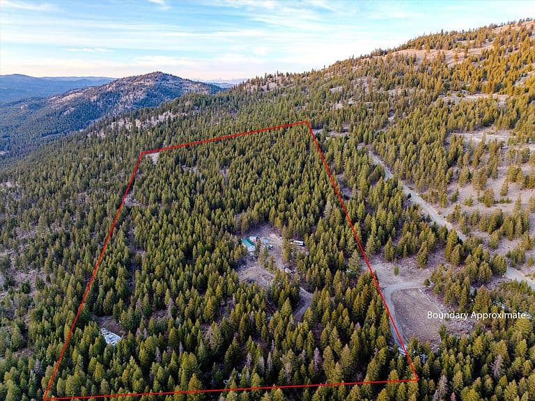 260 Wild Horse Trl photo 5