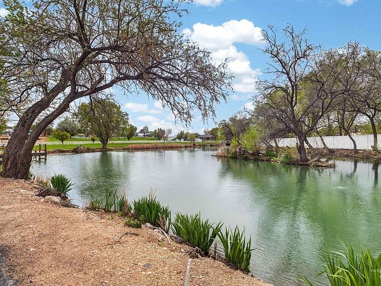 1850 Serengeti Rd photo 2
