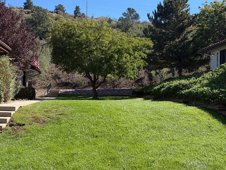 417 TORREY PINE Lane photo 1