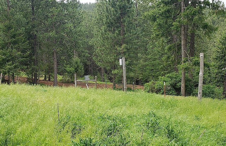 15872 W Mead Rd photo 5