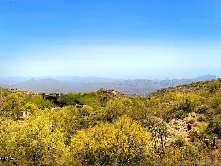 14317 E Mourning Dove Drive photo 3