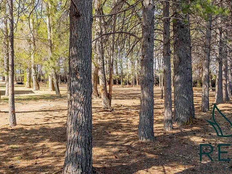 2096 Lane 10 photo 4