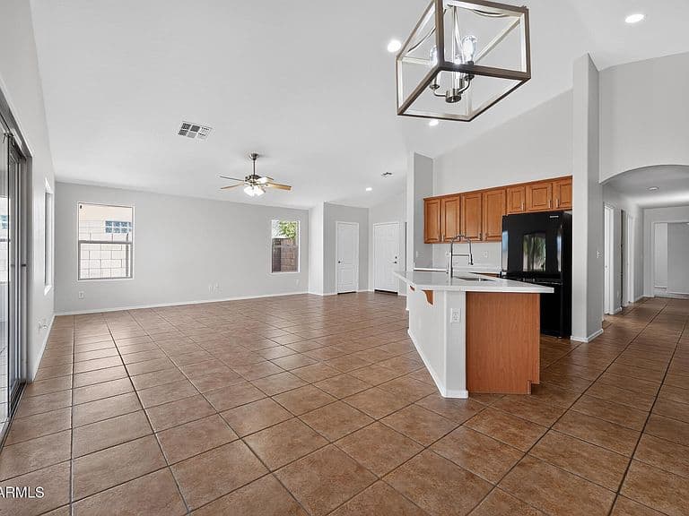 35408 N BELGIAN BLUE Court photo 3