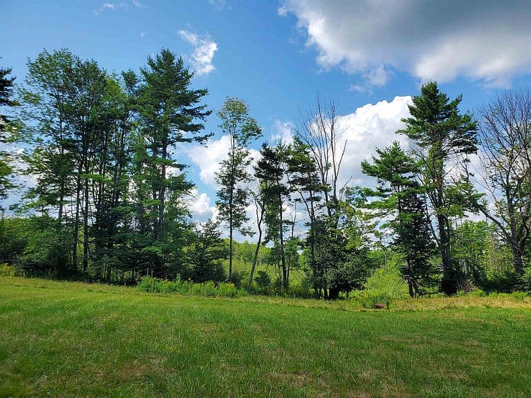 188 Goose Pond Road photo 5