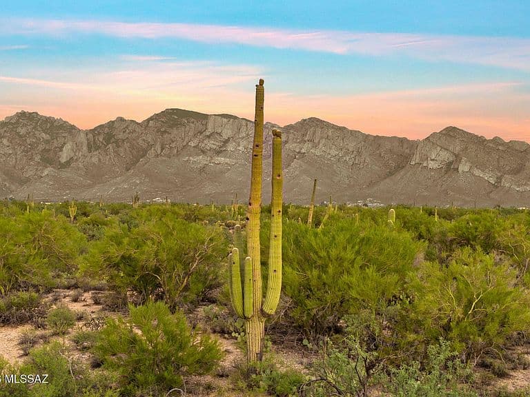 12488 N Paseo Penuela photo 3