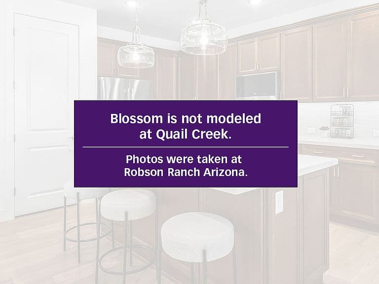 Blossom Plan, Quail Creek photo 5