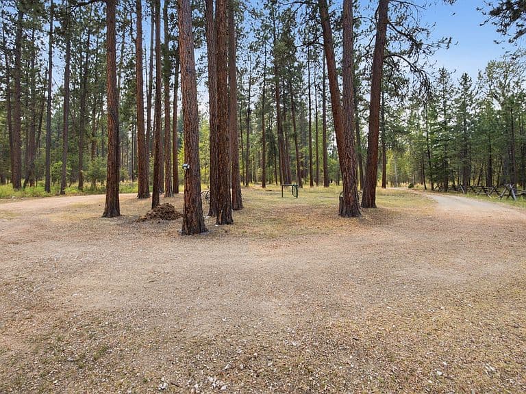4664 Watt Ln photo 3