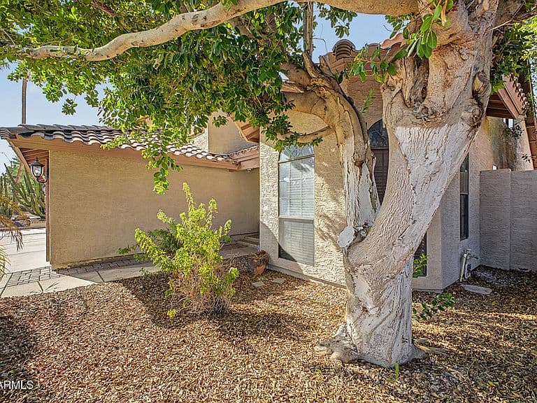 7426 W ORAIBI Drive photo 4