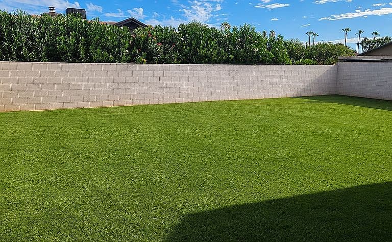 3513 E Cuervo Ln photo 2