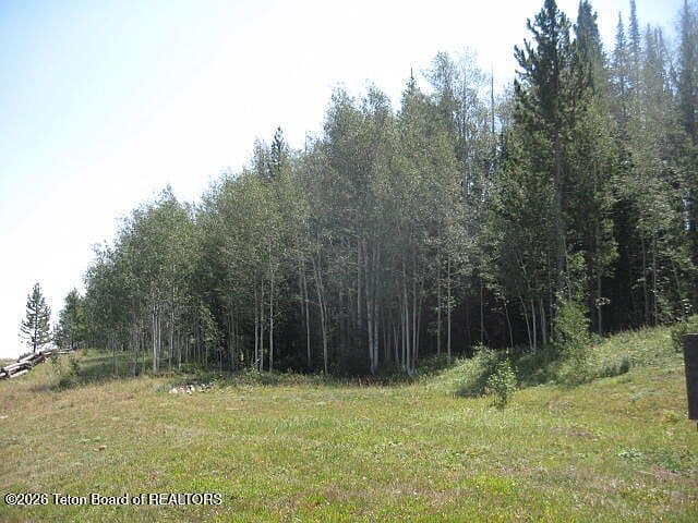 124 Hurricane Trl photo 4